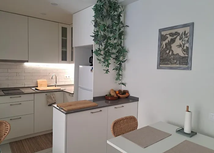 公寓 Luminoso Cerca De La Playa De 滨海托萨